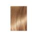 L'Oreal Paris Excellence Creme 7.31 Honey Foam - Buy Online on GoSupps.com