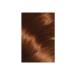 L'Oreal Paris L'or al Paris Excellence Creme Hair Dye 6.41 Hazelnut Brown - Buy Online on GoSupps.com
