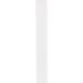 25 Salivary Test Strips - Highly Accurate Body Indicator Test - Buy Online on GoSupps.com