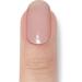 Original Miss Sophie UV Gel Nail Films - Glazed Elegance Sheer Effect Chocolate | 20 Nail Strips for Finger & Toes - Buy Online on GoSupps.com