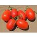 30 semi Rio Large Tomato 2017 ($ 3.00 max Shipping!)