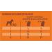 Nature's Variety Original No Grain - Mini Adult Dog P t with Beef - Box of 8 x 150 g - Buy Online on GoSupps.com