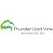 Thunder God Vine Root Extract 100mg Vegan Capsules | 200 Count | Made in USA | Tripterygium wilfordii 20:1 Concentration - Buy Online on GoSupps.com
