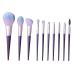 Panysilioer 10 Pieces Soft Natural Hair Makeup Brush Professional Foundation Powder Eyeshadow Make Up Brush Set