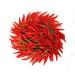 Virgolden Organic Ground Cayenne Pepper 1kg - Rich & Deliciously Warm Smoky Aroma for Culinary Delights - Buy Online on GoSupps.com