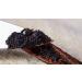 Grade A Madagascar Vanilla Pods - 5 Pods | Premium Extract Beans for Baking & Cooking - Buy Online on GoSupps.com