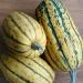 Aamish 10 semi di frutta anguria Zucchero Baby