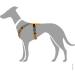 HUNTER Harness Maldon 37-53/XS-S Orange/Grey | Premium Pet Harness for Small Dogs - Shop Now! - Buy Online on GoSupps.com