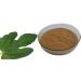 Sri Harshini Athi ilai Powder Fig Leaves Aththi illai podi Rich in Nutrients 100% Chemical Free Powder Indian Origin 50g (Pack of 2) Athi ilai Powder 50 g (Pack of 2) - Buy Online on GoSupps.com