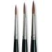 da Vinci Maestro Kolinsky Red Sable Series 10 Watercolor Brush Set - Sizes 3, 4, 5 - Buy Online on GoSupps.com