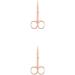IOIUSKKU 2 Set of Nail Cuticle Nippers Stainless Steel Scissors Electroplating Convenient Trimming Tool Nose Hair Tweezer Plated Rose Gold Plated Rose Gold 2Set - Buy Online on GoSupps.com