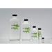 Sherblato Terpenes 1ml Glass Bottle | Premium Flavor Enhance | International Shipping Available - Buy Online on GoSupps.com