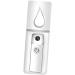 Healeved 3pcs Face Sprayer Facial Spa Steamer Mini Face Humidifier Facial Sprayer Makeup Brishes White - Buy Online on GoSupps.com