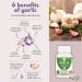 Morsan Healthcare Odorless Garlic Capsules 500 mg | Allium sativum | 60 Vegan Capsules | Herbal Supplement | Vegan, Gluten-Free, GMO-Free | Natural Herbal Supplement | Pack of 1 Bottle - Buy Online on GoSupps.com
