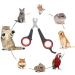 GOTOTOP Pet Nail Clippers for Small Animals Nail Clippers and Claw Trimmer Grooming Tool for Birds Parrots Kitten Rabbit Cat Dog - Buy Online on GoSupps.com