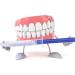 Teeth Whitening Kit: (10) Gels, (2) Trays, (1) Blue White LED Light - Easy At-Home Whitening for Brighter Smile & Fast Results - Buy Online on GoSupps.com
