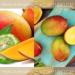 Cuccio Mango & Bergamot Butter Blend 8oz - Buy Online on GoSupps.com