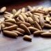 Dry Fruit Nuts Dried nut Best Indian dryfruit|Chilgoza Pine Nut 1 kg - Buy Online on GoSupps.com