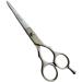 Awans Professional Hairdressing Barber Salon Scissors 5.5" - Buy Online on GoSupps.com