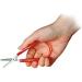 Spring loop scissors groÃ - Buy Online on GoSupps.com