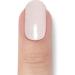 Original Miss Sophie UV Gel Nail Foils - Glazed Elegance 20 Strips for Finger & Toe Nails | Perfect Glazed Donut Effect - Buy Online on GoSupps.com