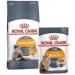 Royal Canin Hair & Skin Care Dry Cat Food 2kg Poultry 2 kg (Pack of 1) - Buy Online on GoSupps.com
