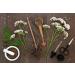 Wildcrafted Valerian Root Cut 4oz - Premium Valeriana Officinalis Herb Shoppe Bulk - Buy Online on GoSupps.com