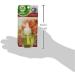 Air Wick Scented Oil Plug-in Air Freshener - Apple Cinnamon Medley Refill 0.67 oz | International Shipping Available - Buy Online on GoSupps.com