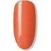 Bluesky Gel Nail Polish Pumpkin Spice Bp01 10 ml Orange Red Long Lasting Chip Resistant 10 ml (Requires Drying Under UV LED Lamp) Pumpkin Spice 10 ml (Pack of 1) - Buy Online on GoSupps.com