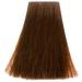 Topchic Permanent Hair Color GW 6G 60 ml - Buy Online on GoSupps.com