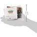Celeste Stein Black Marisa Compression Socks 8-15 mmHg - Mild Support - Buy Online on GoSupps.com