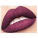 INTEROOKIE 21 Colors Matte Liquid Lipstick Lip Gloss Stain Resistant Non-Fade Lip Icing (8#)