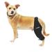 Ortocanis - Knee Brace for Dogs with Ligament Rupture and Patella Luxation  Size XXL  Left Leg Left leg Size XXL