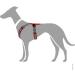 HUNTER Harness Maldon XS (34-49) - Red/Grey | Premium Dog Harness for Comfort & Style - Buy Internationally! - Buy Online on GoSupps.com