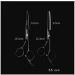 Professional Household Haircut Scissors Set - Black 5.5" & 6" Hairdressing Tools for Home & Barber Use - Buy Online on GoSupps.com