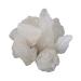 JEVR Alum stone alum stone Fitkari 1470 g white crisis stones Fitkari