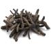 Musli black powder black Musli Kali Musli 100G natural - Buy Online on GoSupps.com