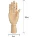 Wooden Articulated Mannequin with Flexible Fingers - 10 Right Hand - Buy Online on GoSupps.com
