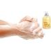 Set of 2 Antibacterial Scented Liquid Hand Wash Soap 500ml - Milk & Honey - Buy Online on GoSupps.com