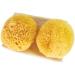 Sea Pearls Reusable Sea Sponges - Classic Medium 2pk | Eco-Friendly & Natural Menstrual Care - Buy Online on GoSupps.com