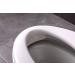 EASICOZI Urine Deflector for Toilet Seat Prevents Kids and Adult from Peeing Splash (2 pcs) - Buy Online on GoSupps.com