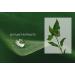 Heimish All Clean Low pH Vegan Toner 150ml - Balanced Skincare Solution - Buy Online on GoSupps.com