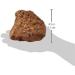 Sera Rock Red Lava S/M | 8-15 cm Dark Red Porous Lava Stone - Ideal for Aquariums & Terrariums | Free Worldwide Shipping - Buy Online on GoSupps.com