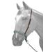 Showman Adjustable Teal Filigree Leather Noseband Tie Down w/Strap