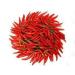 Virgolden Cayenne Pepper 50g - Rich, Warm, Smoky Aroma for Flavorful Dishes - Buy Online on GoSupps.com