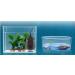 Juliaqua Aquarium Heater - Thermostatic Heating Element for 20L-50L Freshwater Aquariums | 25W 50W 100W 150W | Ideal for Fish & Turtles - Buy Online on GoSupps.com