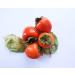 Organic California Hachiya Persimmons - 5 lbs | Fresh & Natural - Buy Online on GoSupps.com