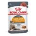 Royal Canin Hair & Skin Care Wet Cat Food in Gravy 48 x 85g