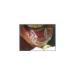 Buy Opalescence PF 20% Teeth Whitening 8pk & D.I.Y. Tray Kit - Professional Whitening Solution for a Brighter Smile Worldwide - Buy Online on GoSupps.com