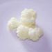 Buy Organic Milk Kefir & Grains - Tibetan Mushroom Kefir (20g) | Goodrinks - International Shipping - Buy Online on GoSupps.com